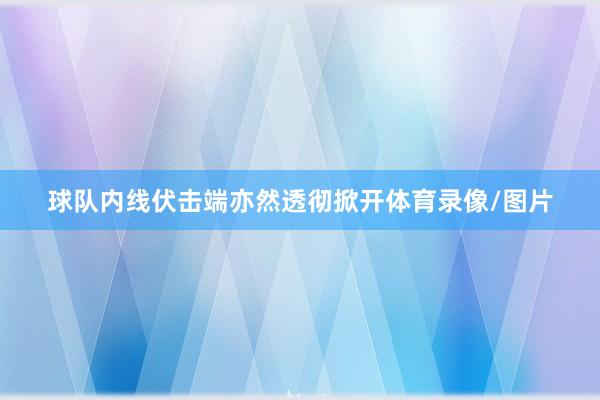 球队内线伏击端亦然透彻掀开体育录像/图片