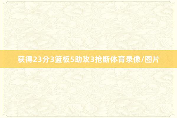 获得23分3篮板5助攻3抢断体育录像/图片