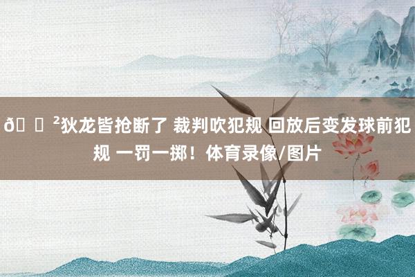 😲狄龙皆抢断了 裁判吹犯规 回放后变发球前犯规 一罚一掷！体育录像/图片