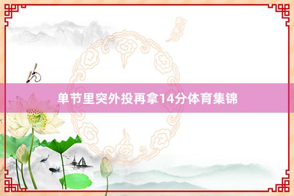 单节里突外投再拿14分体育集锦