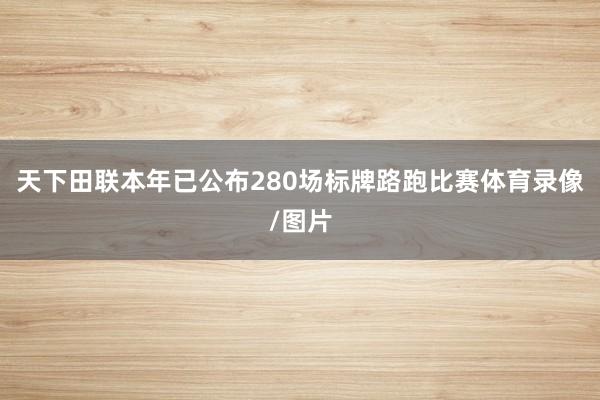 天下田联本年已公布280场标牌路跑比赛体育录像/图片