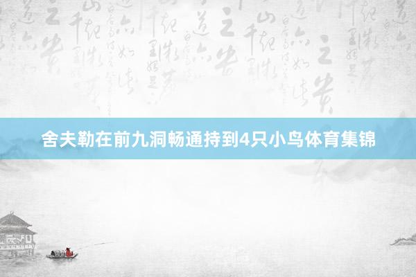 舍夫勒在前九洞畅通持到4只小鸟体育集锦