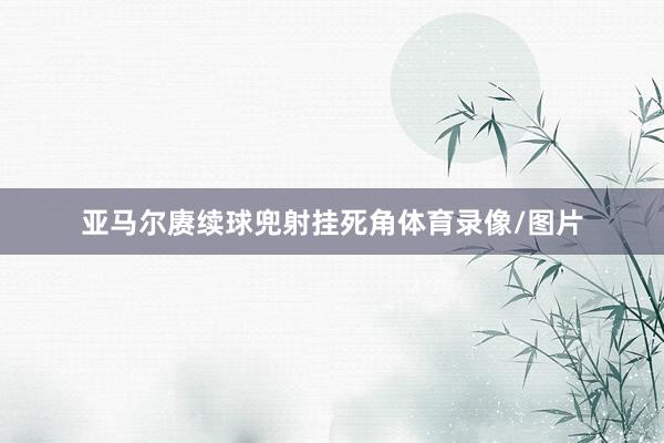 亚马尔赓续球兜射挂死角体育录像/图片